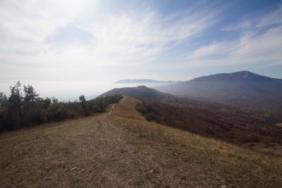 Прикрепленное изображение: DSC00830.JPG